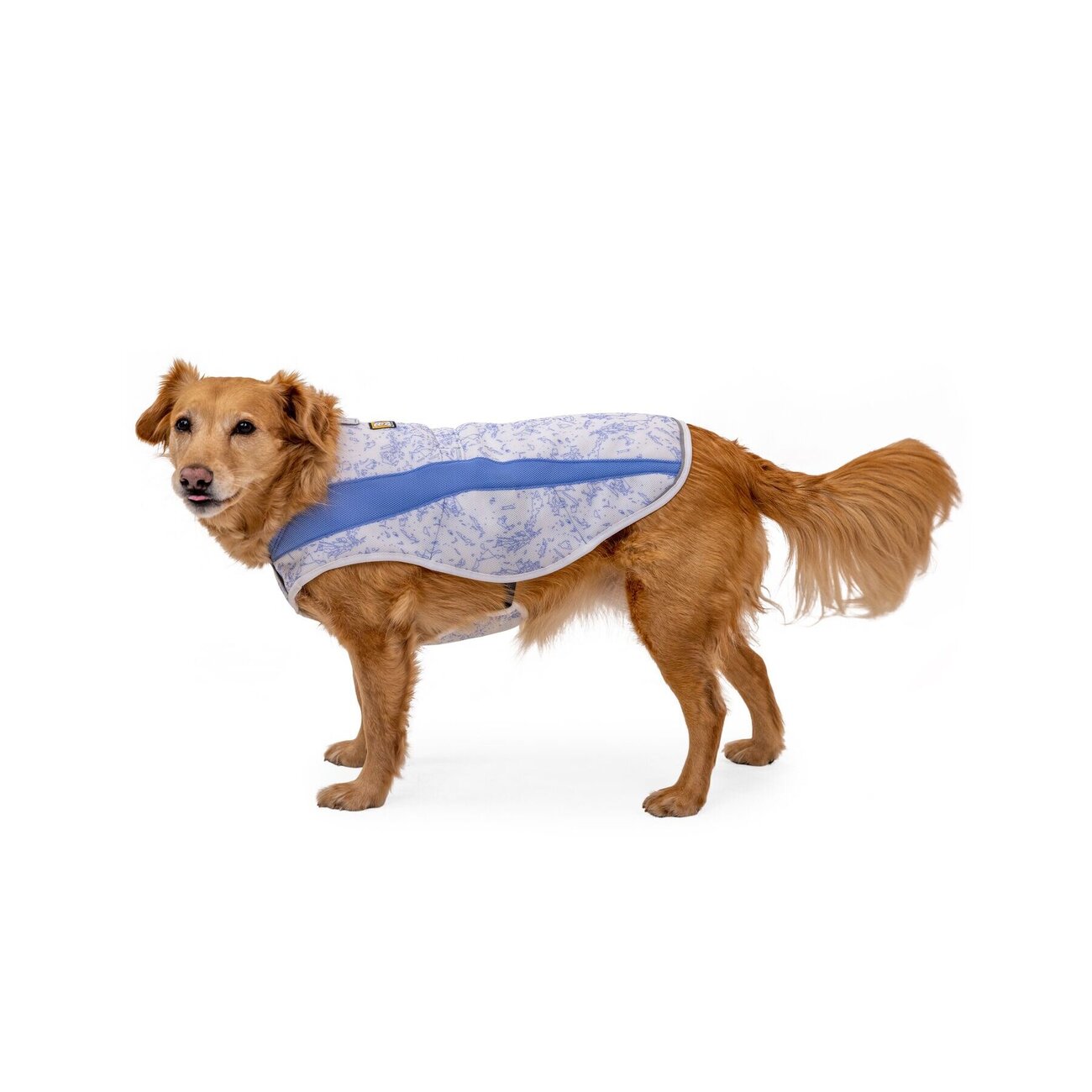 Ruffwear Swamp Cooler Kühlweste für Hunde Bild 29