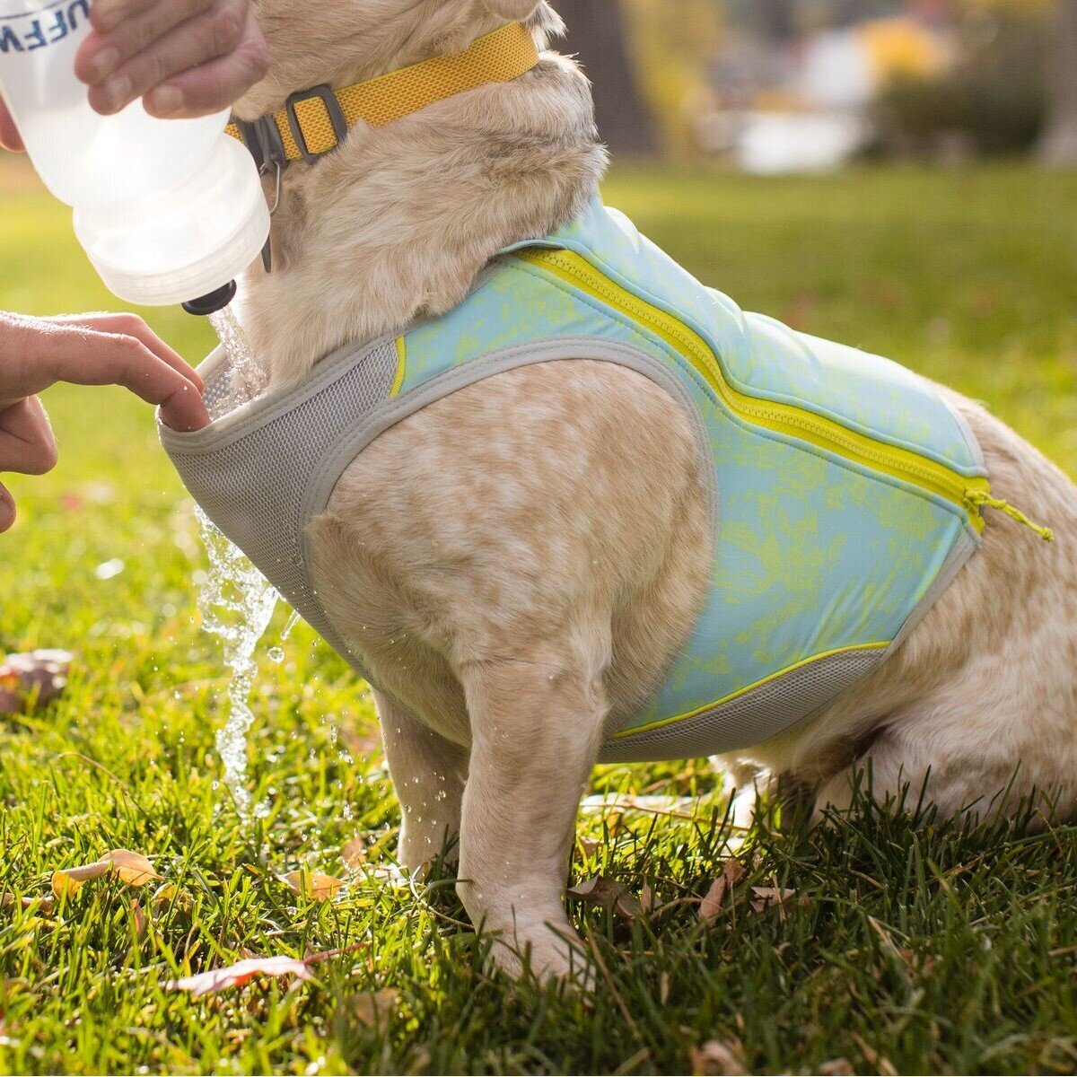 Swamp Cooler Zip Kühlweste für Hunde Bild 2