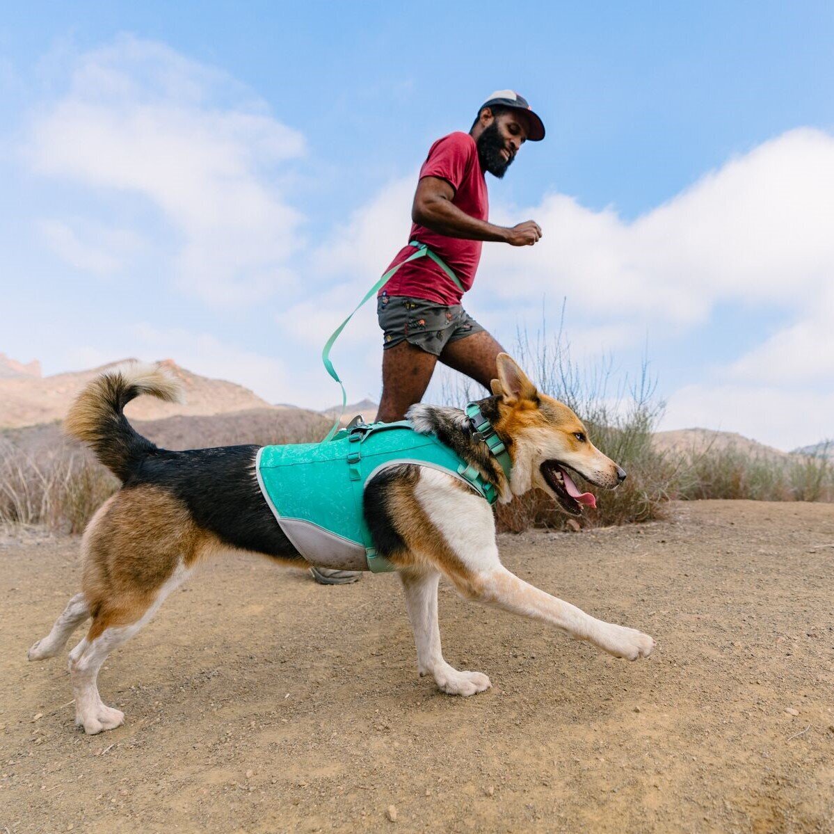 Swamp Cooler Zip Kühlweste für Hunde Bild 10