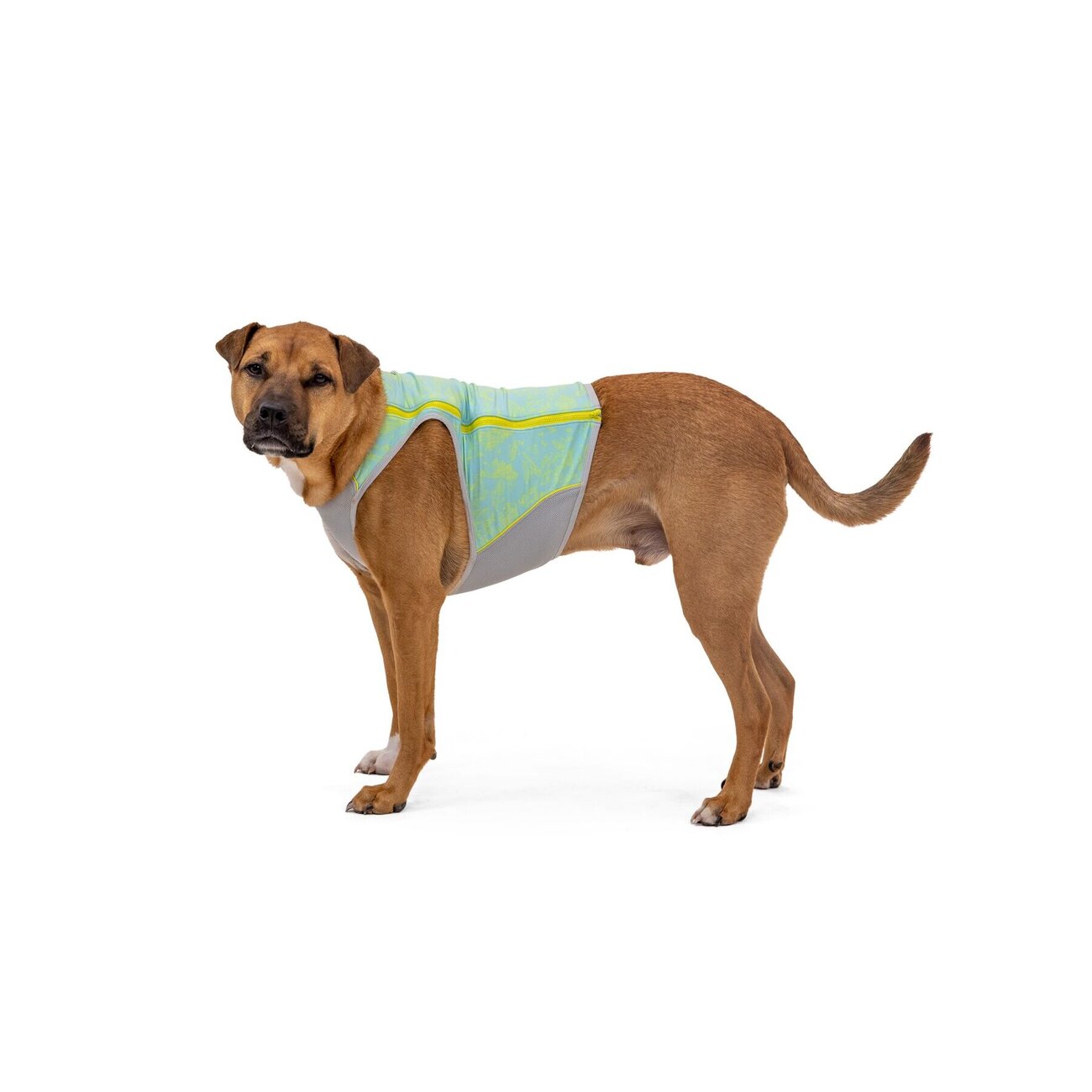 Swamp Cooler Zip Kühlweste für Hunde Bild 5