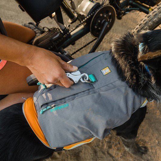 Switchbak Hundegeschirr Bild 5