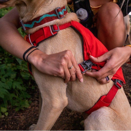 Switchbak Hundegeschirr Bild 2