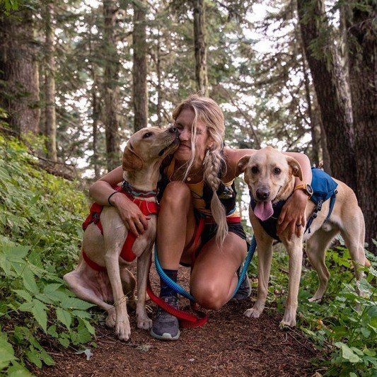 Switchbak Hundegeschirr Bild 15