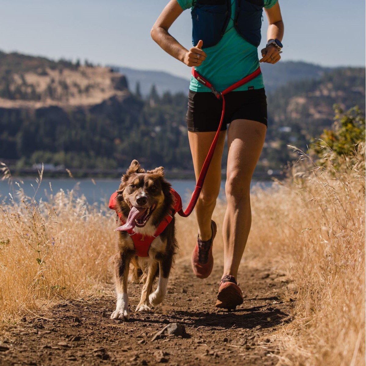 Switchbak Hundeleine zum Umhängen Bild 3