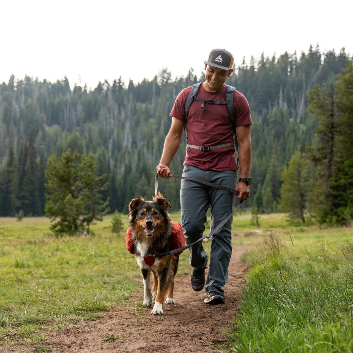 Switchbak Hundeleine zum Umhängen Bild 13