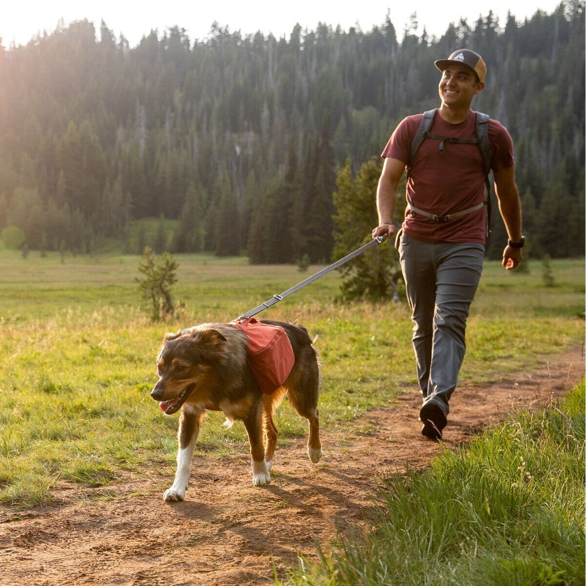 Switchbak Hundeleine zum Umhängen Bild 15