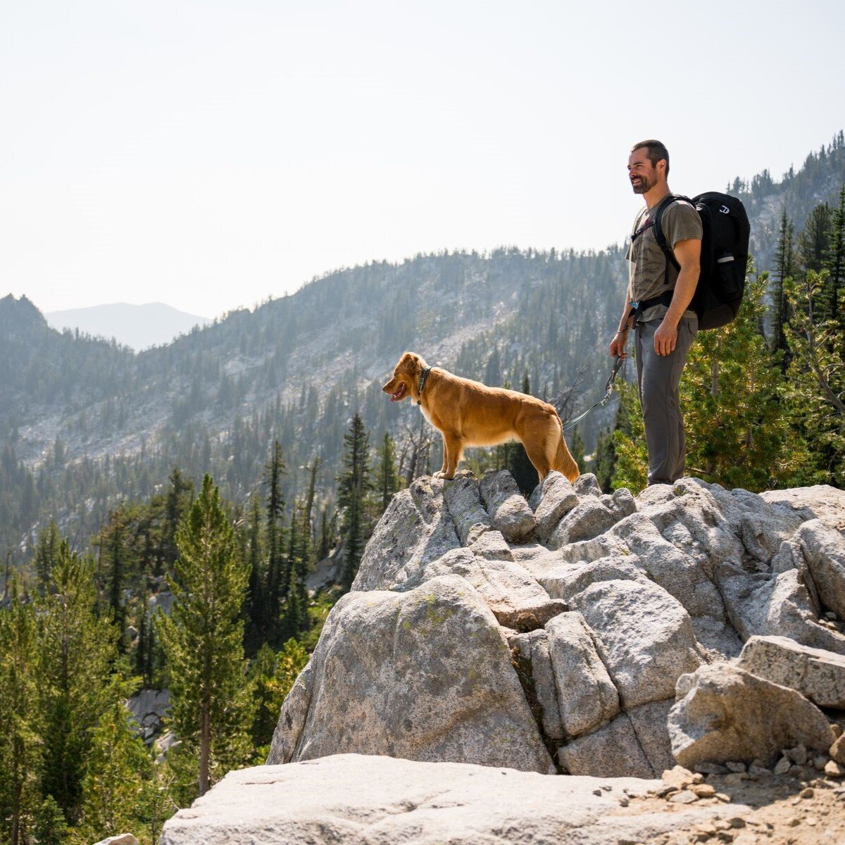Switchbak Hundeleine zum Umhängen Bild 40