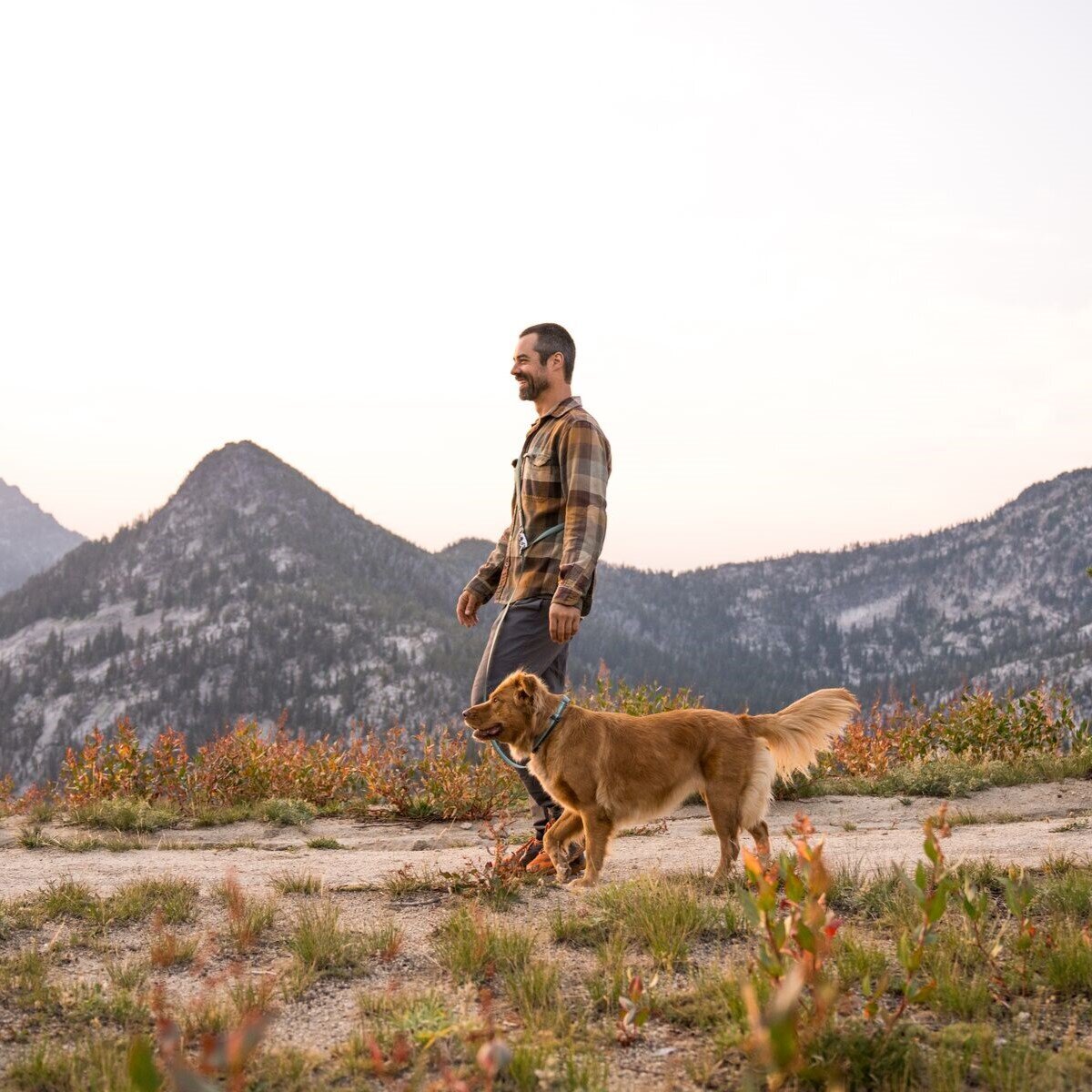 Switchbak Hundeleine zum Umhängen Bild 41