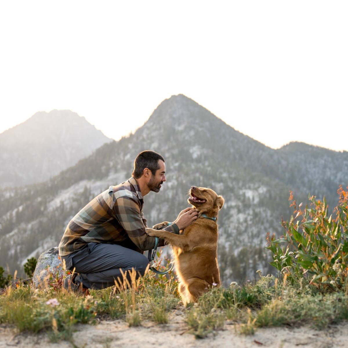 Switchbak Hundeleine zum Umhängen Bild 42