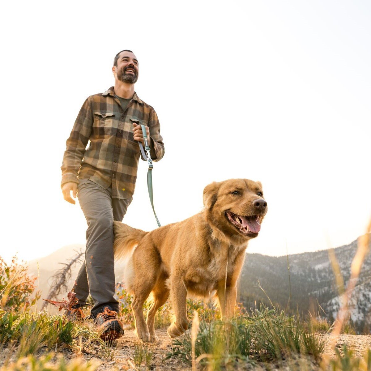 Switchbak Hundeleine zum Umhängen Bild 43