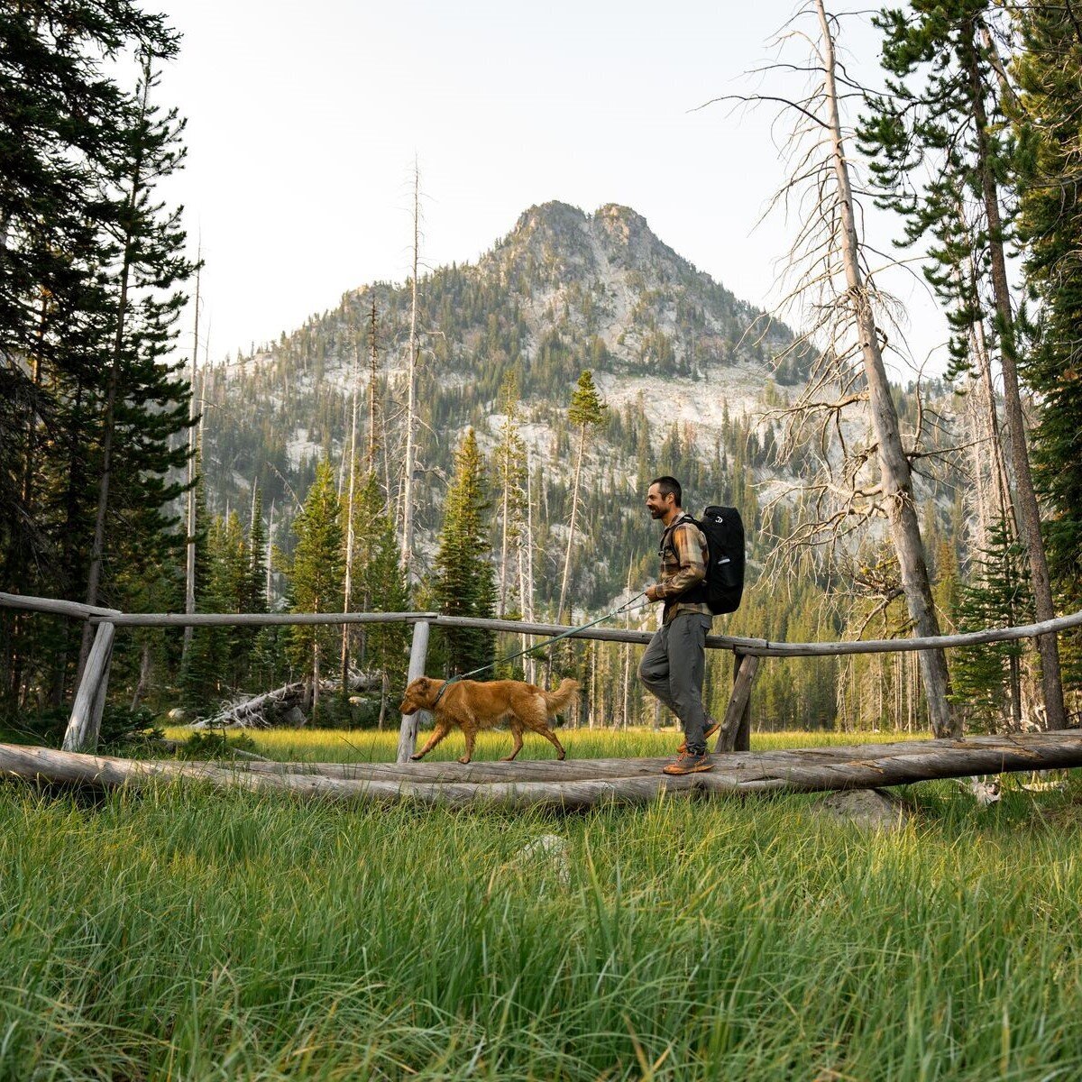 Switchbak Hundeleine zum Umhängen Bild 44