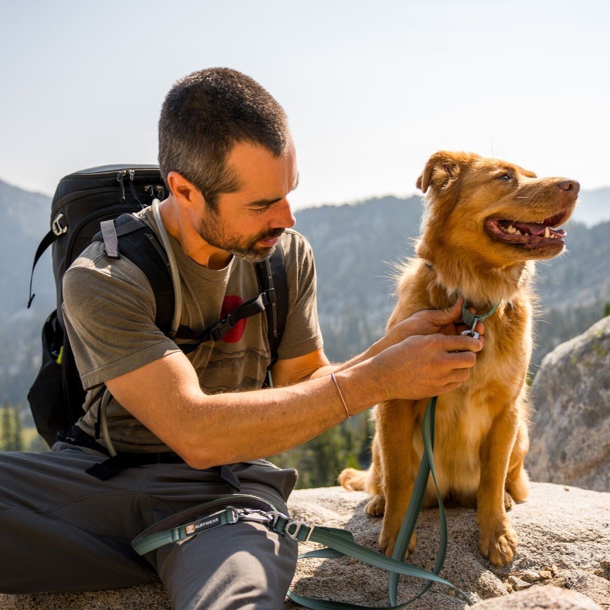 Switchbak Hundeleine zum Umhängen Bild 45