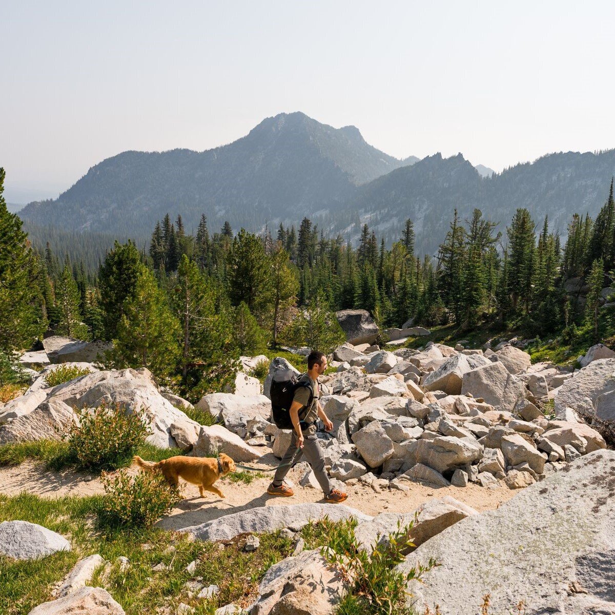 Switchbak Hundeleine zum Umhängen Bild 46