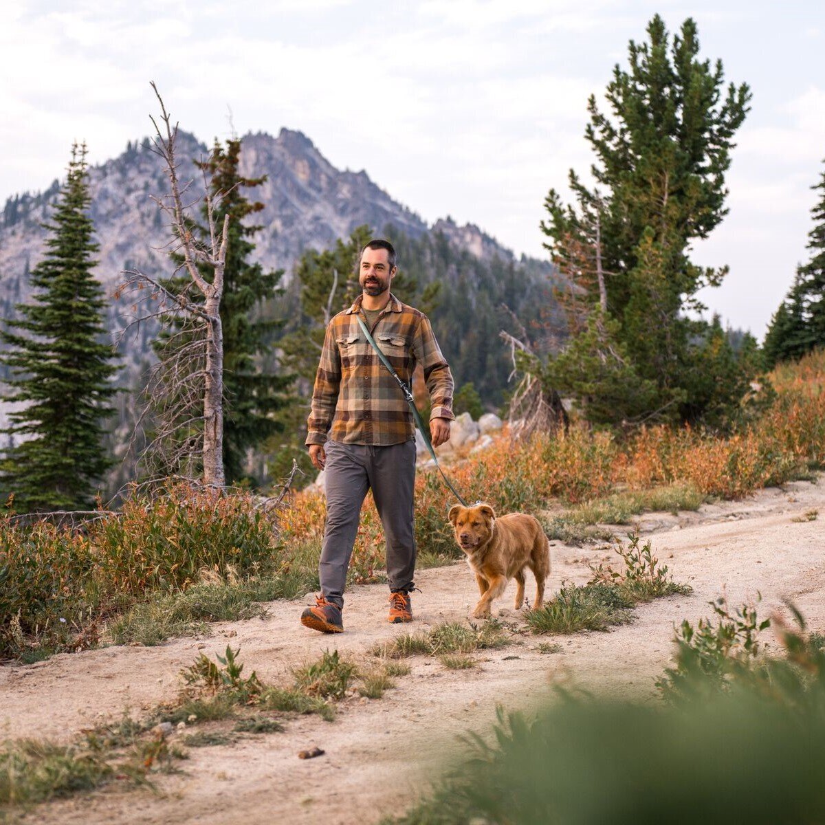 Switchbak Hundeleine zum Umhängen Bild 47