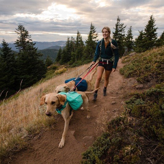 Switchbak Leine Bild 2