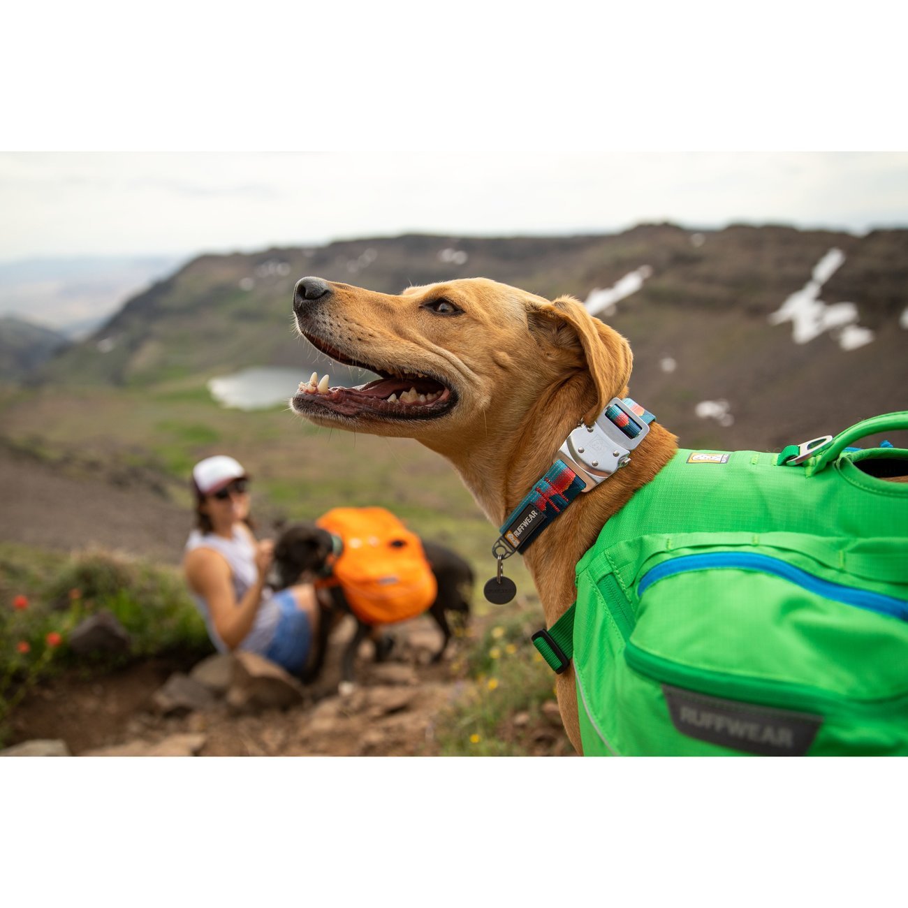 Ruffwear Top Rope™ Hundehalsband Bild 2