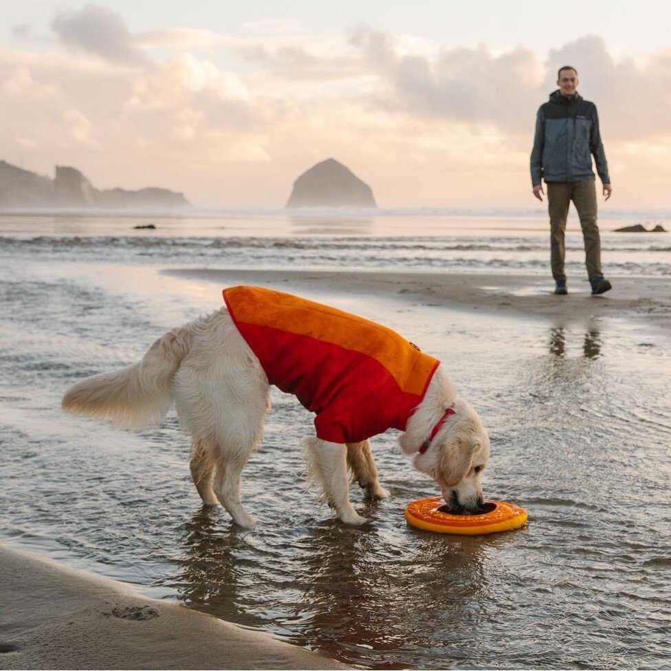 Undercoat Water Jacket Neopren Hundemantel Bild 2