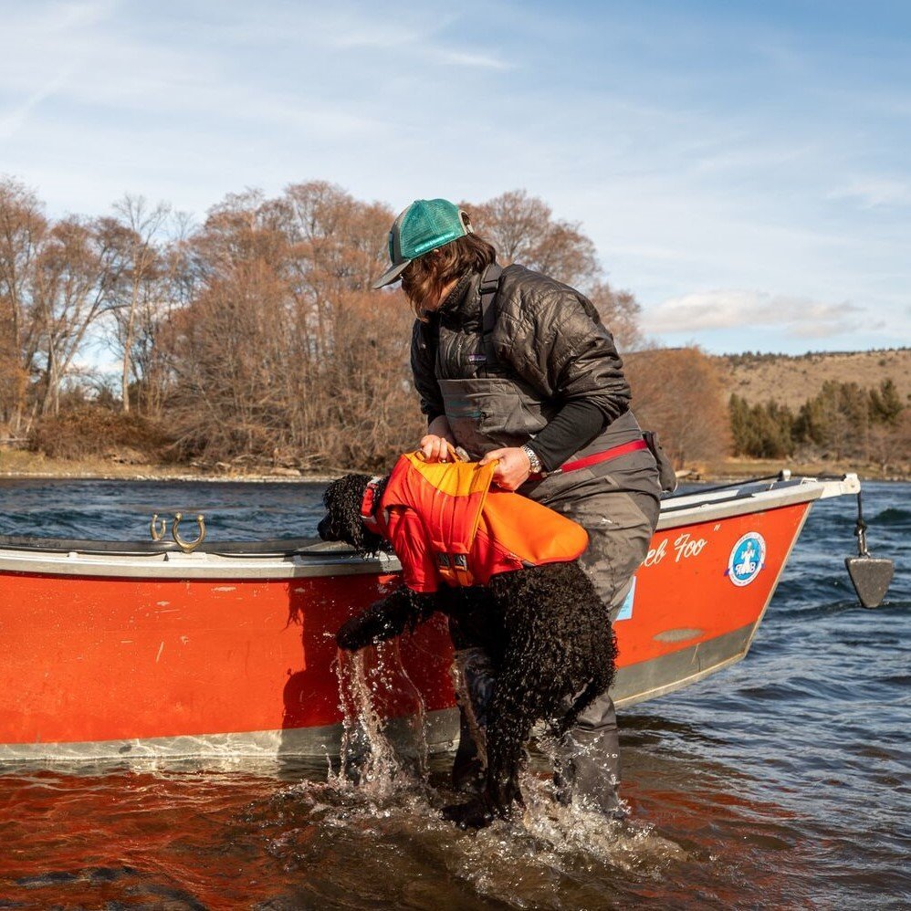 Undercoat Water Jacket Neopren Hundemantel Bild 16