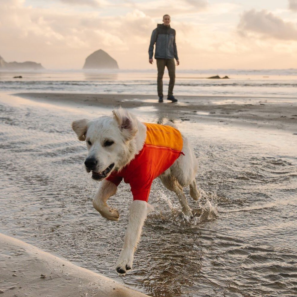 Undercoat Water Jacket Neopren Hundemantel Bild 13