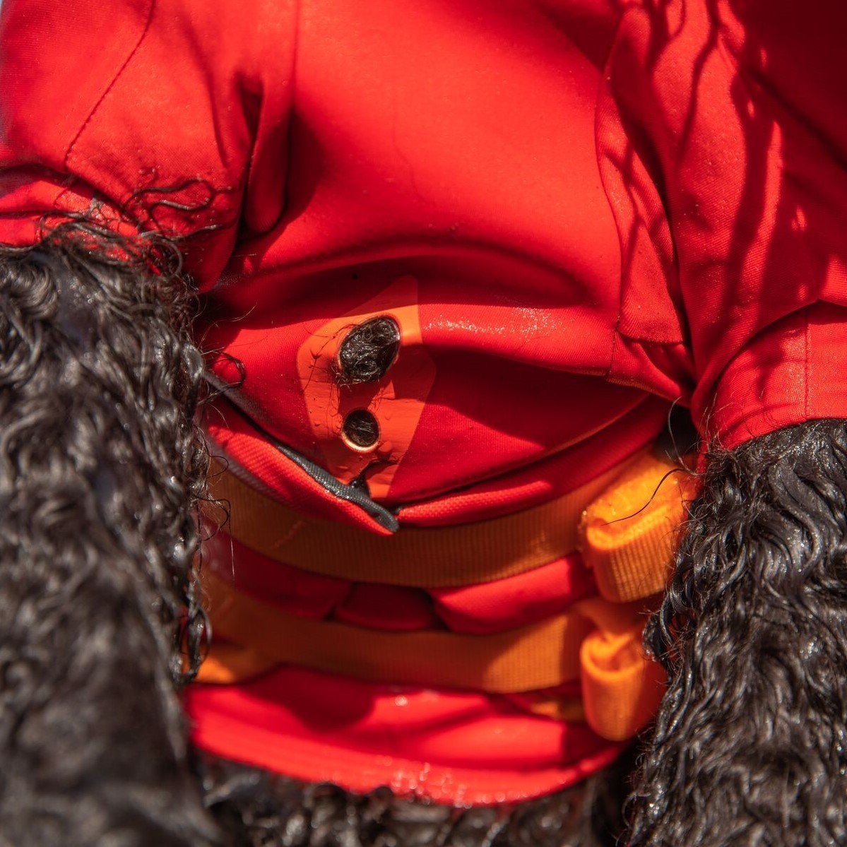 Undercoat Water Jacket Neopren Hundemantel Bild 22