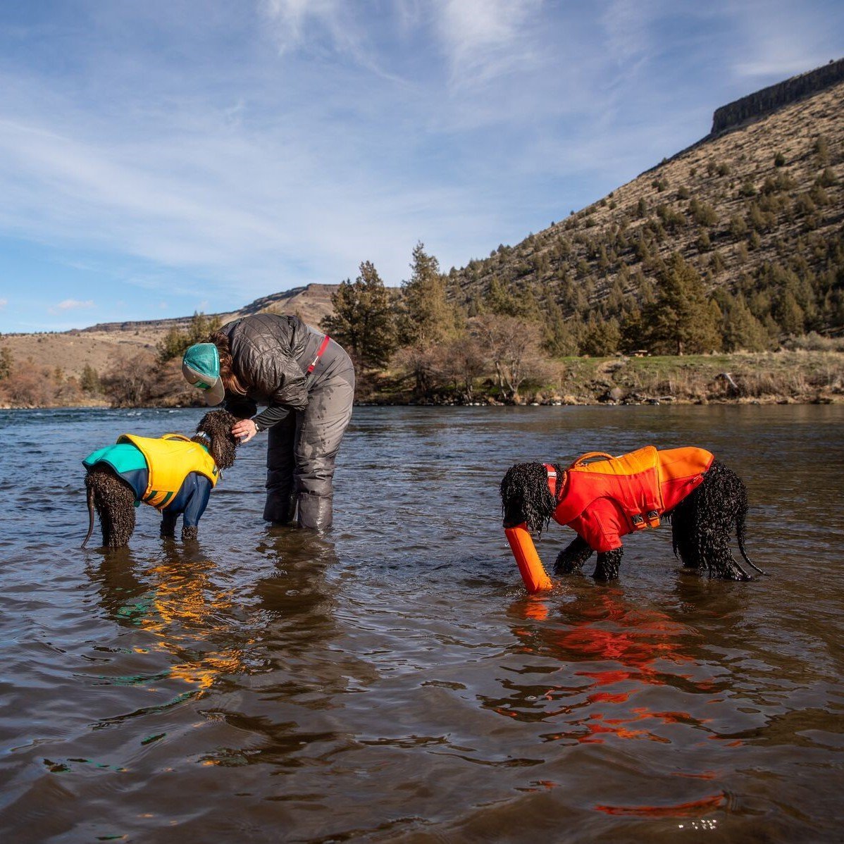 Undercoat Water Jacket Neopren Hundemantel Bild 10