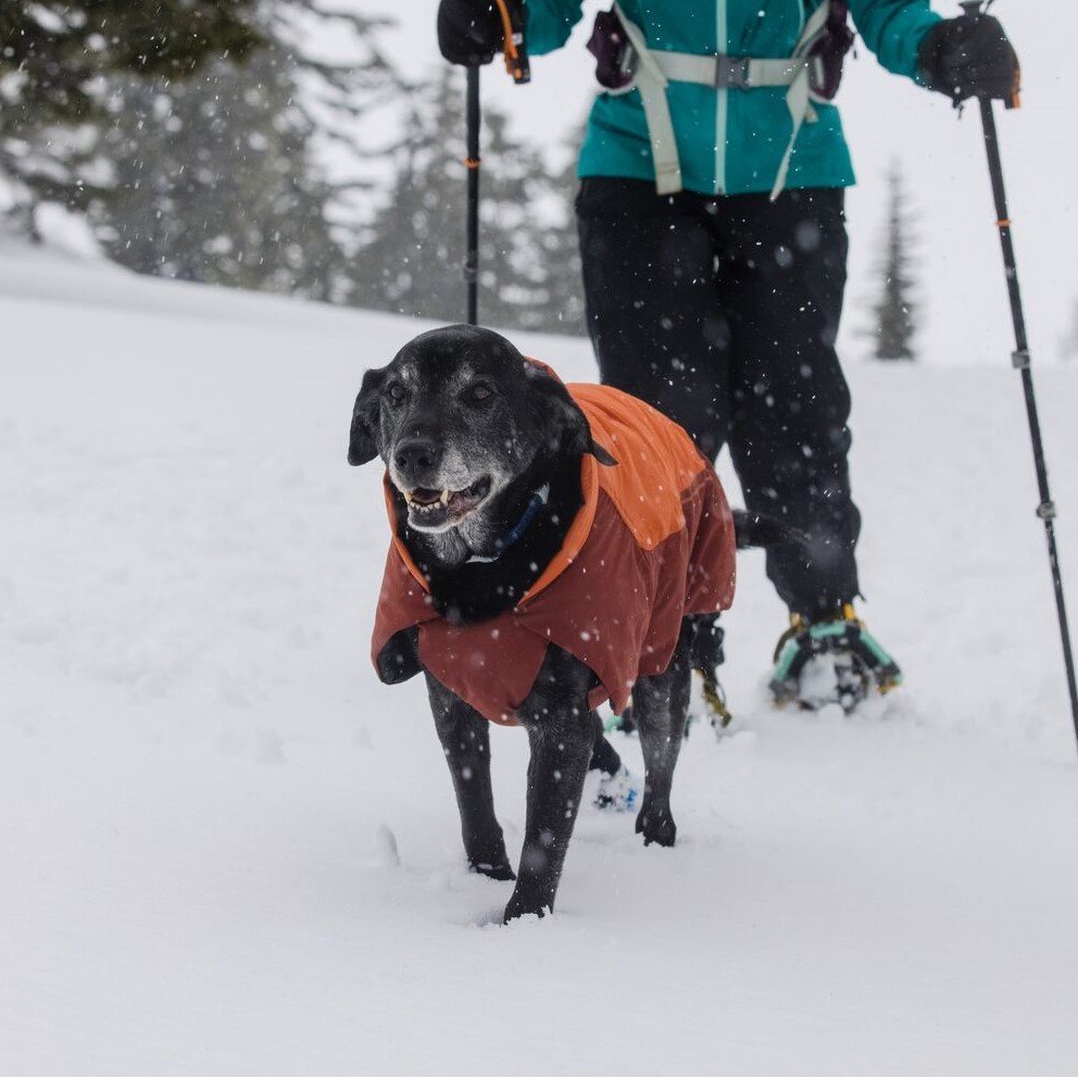 Vert Dog Jacket Hunde Wintermantel Bild 22