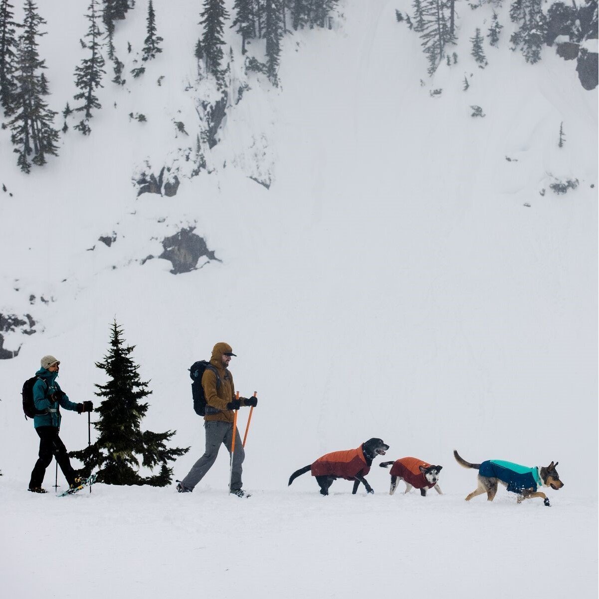 Vert Dog Jacket Hunde Wintermantel Bild 8