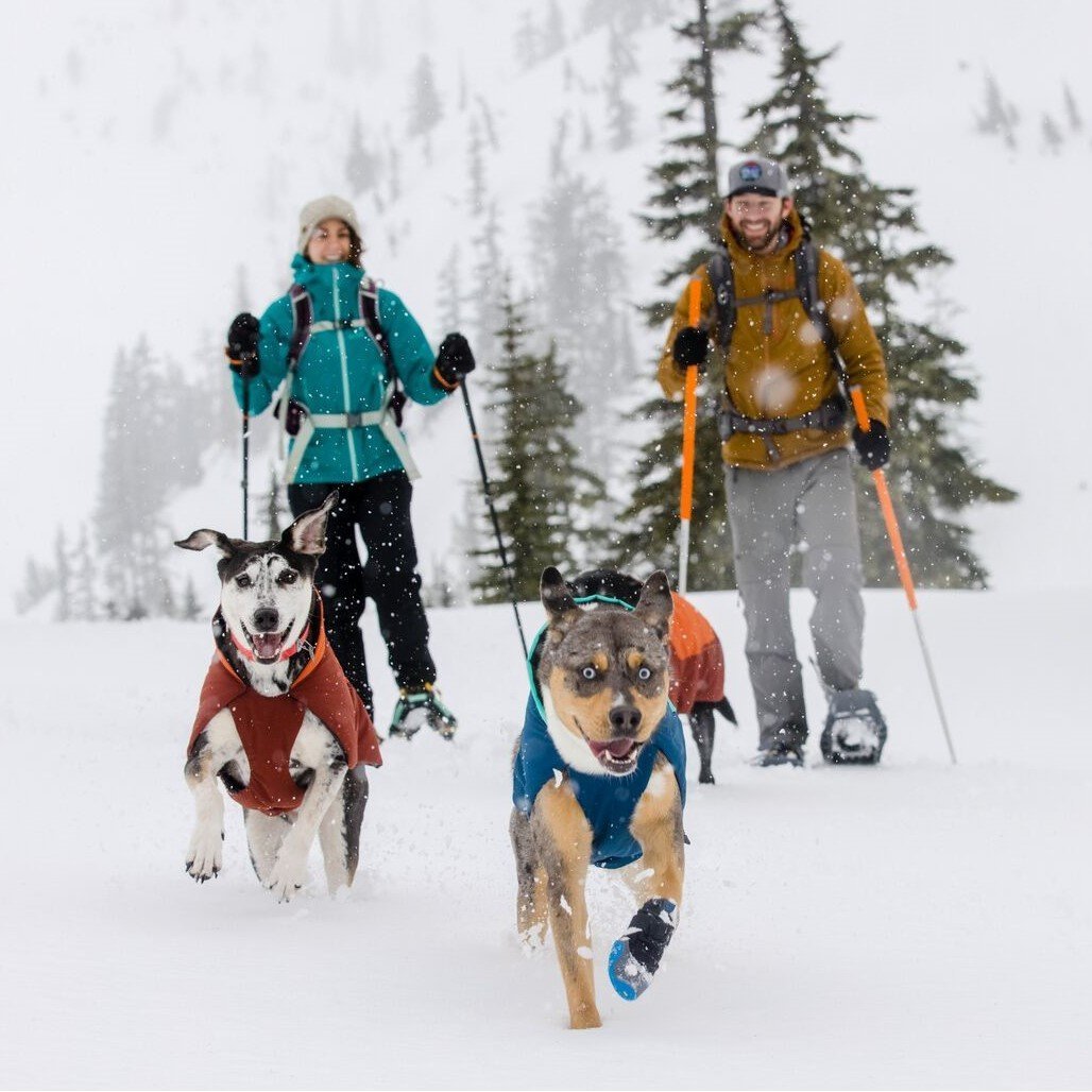 Vert Dog Jacket Hunde Wintermantel Bild 6