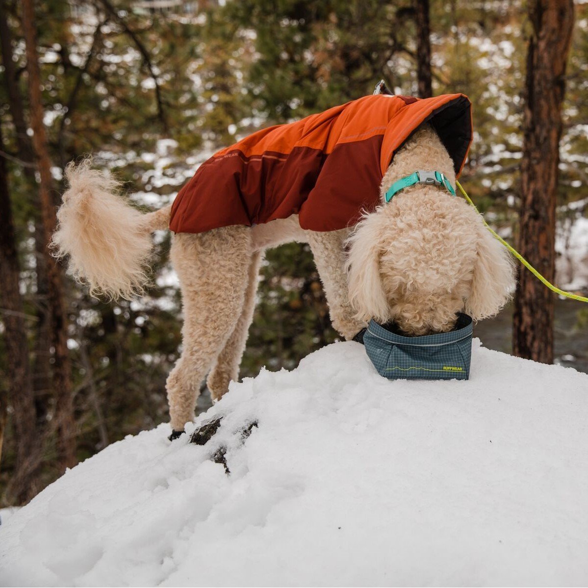 Vert Dog Jacket Hunde Wintermantel Bild 2