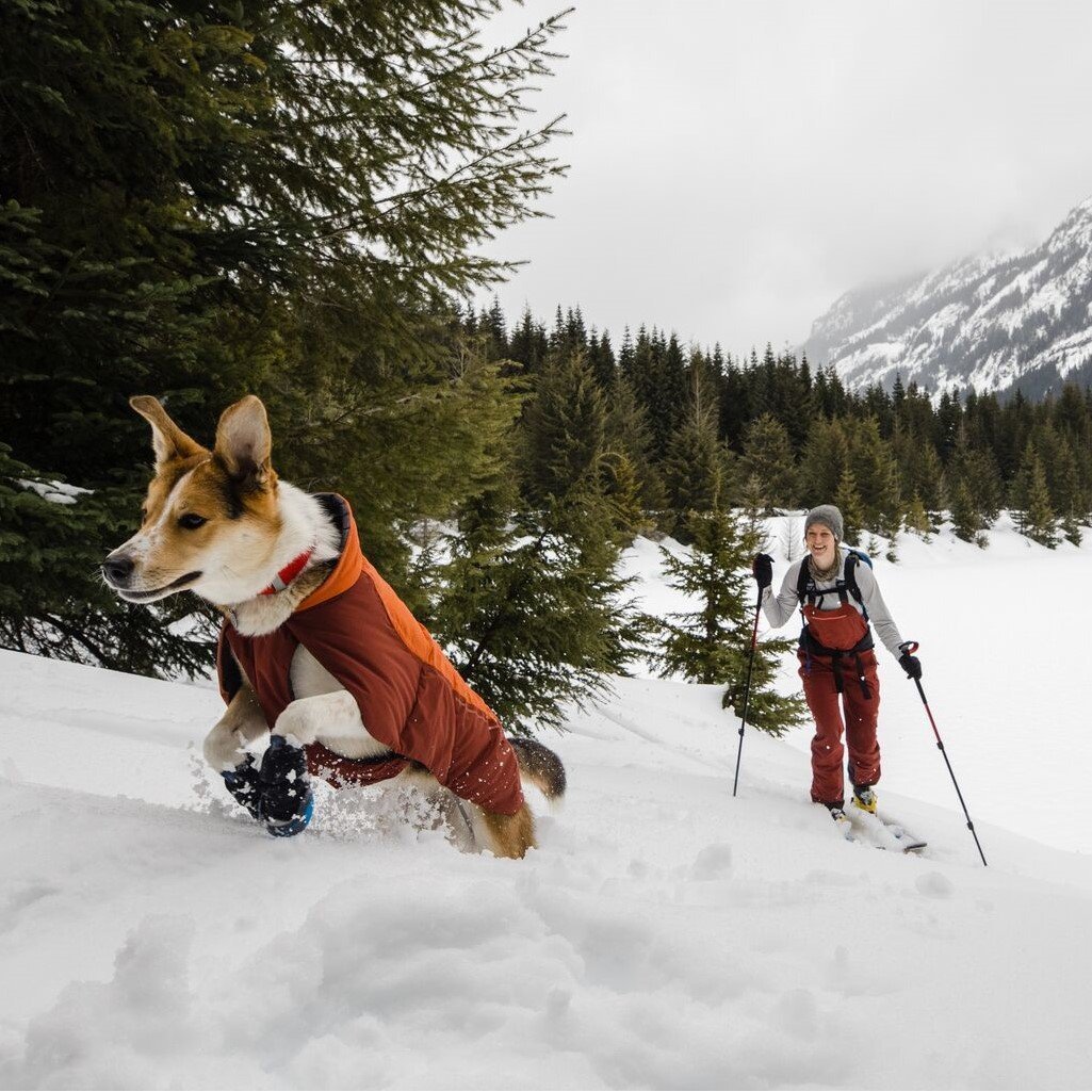 Vert Dog Jacket Hunde Wintermantel Bild 12