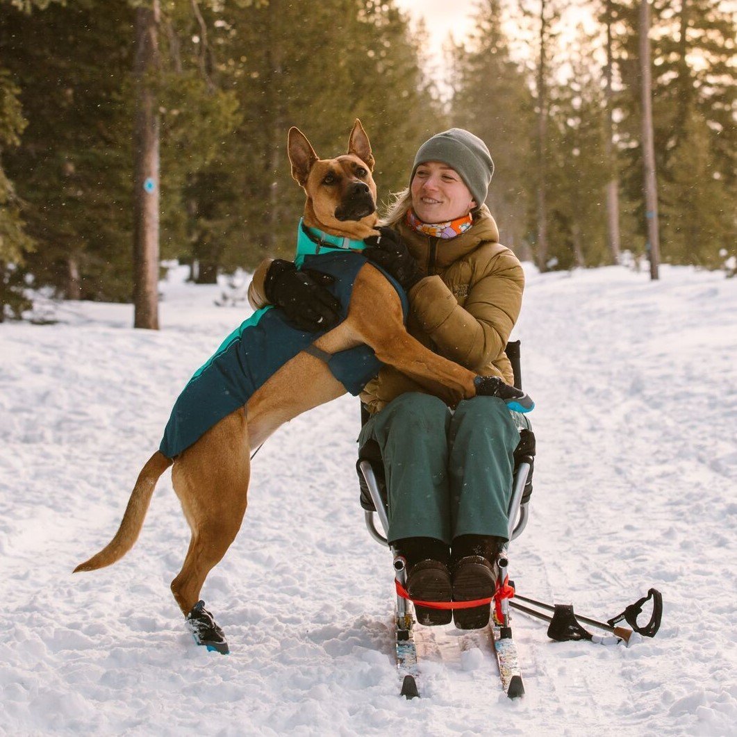 Vert Dog Jacket Hunde Wintermantel Bild 4