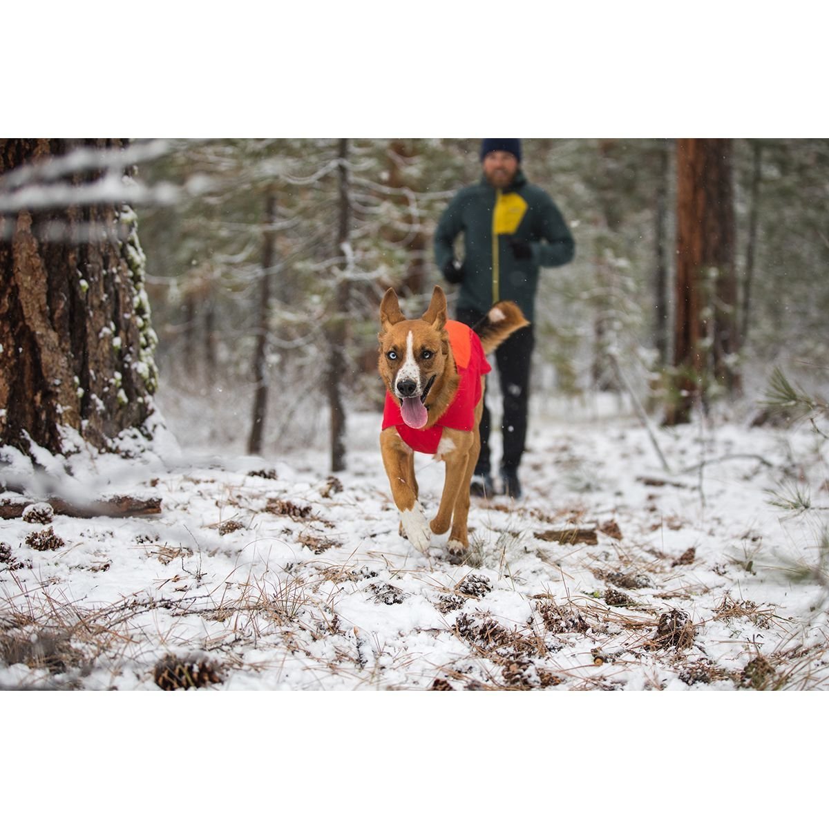 Ruffwear Vert Jacke für Hunde Bild 4