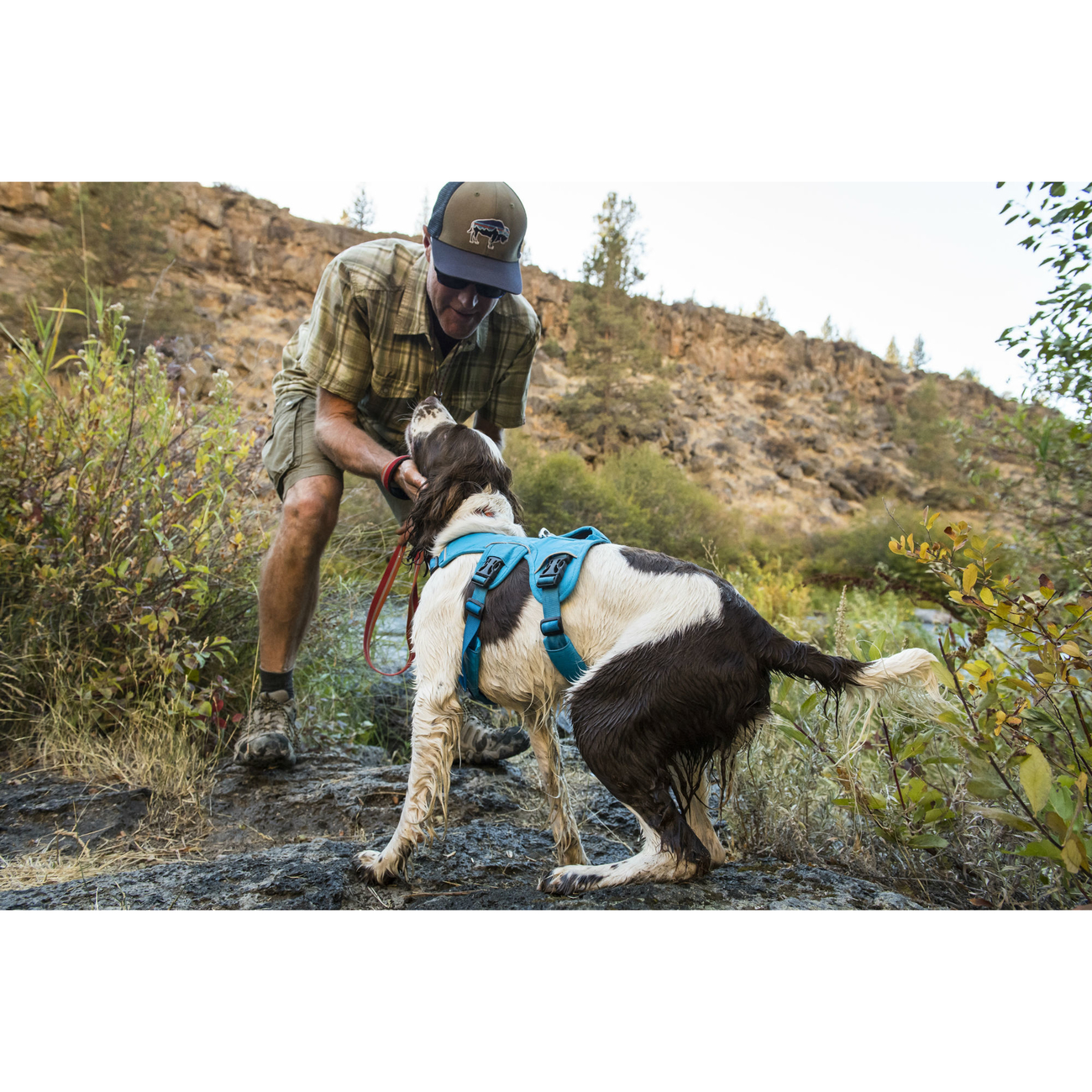 Ruffwear Hundegeschirr Webmaster Bild 8