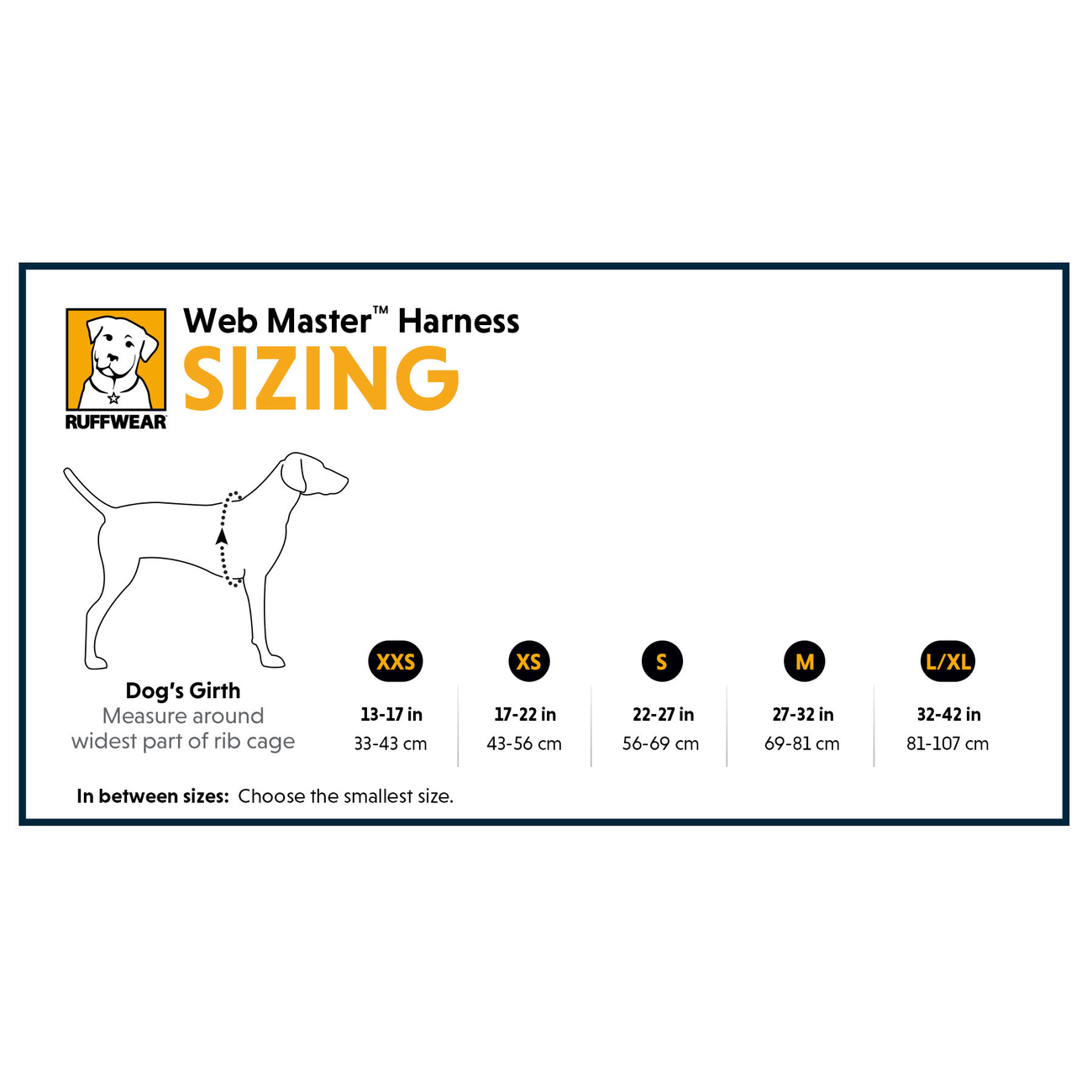 Ruffwear Hundegeschirr Webmaster Bild 9