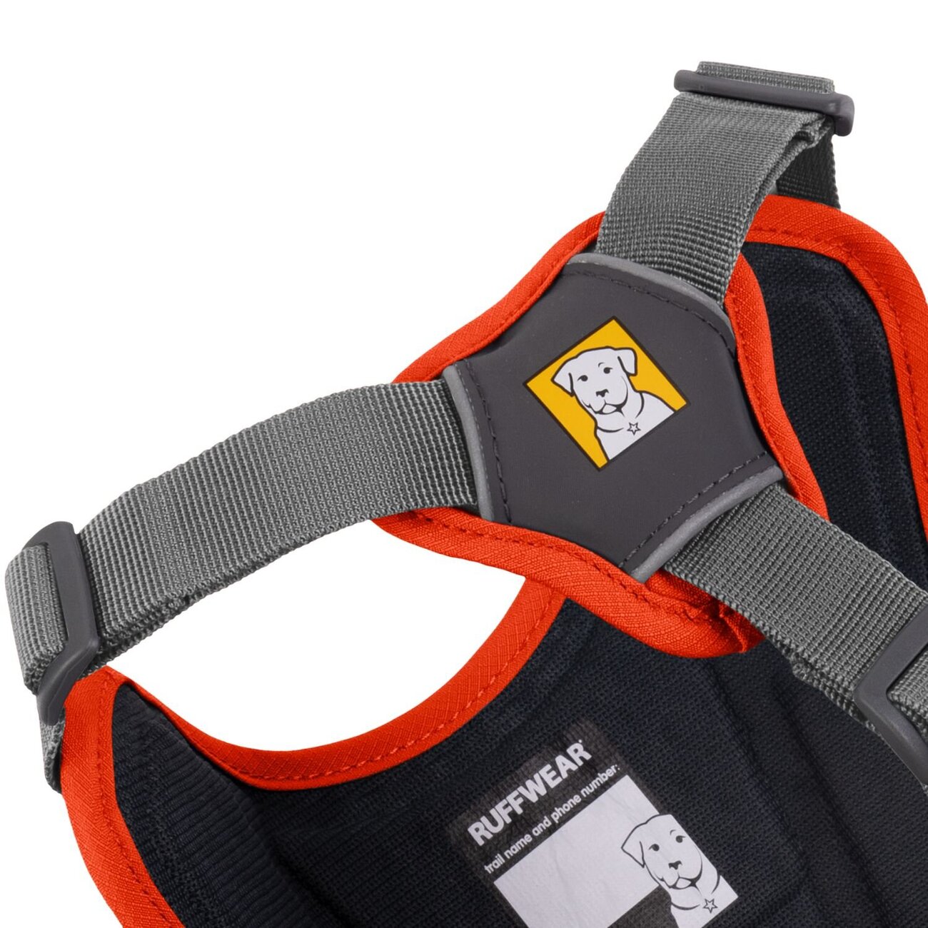 Web Master Hundegeschirr mit Griff Bild 10