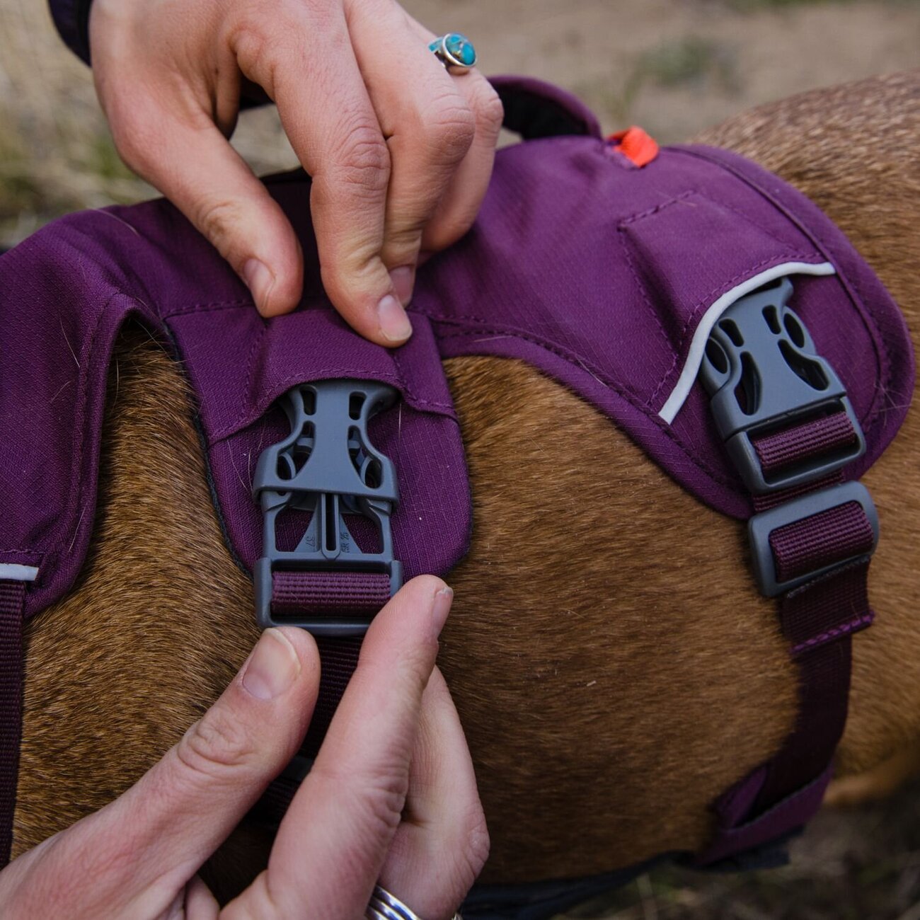 Web Master Hundegeschirr mit Griff Bild 13