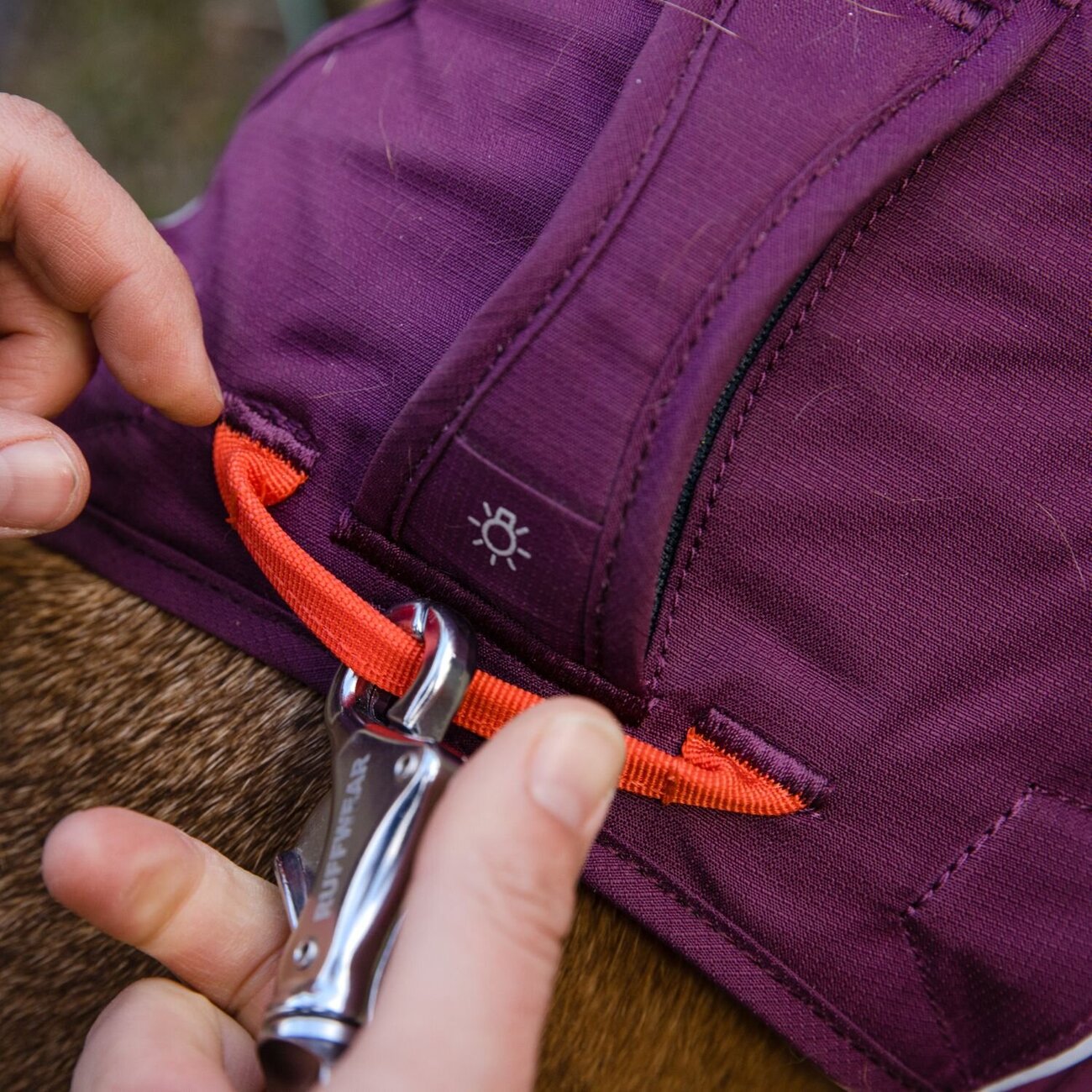 Web Master Hundegeschirr mit Griff Bild 15