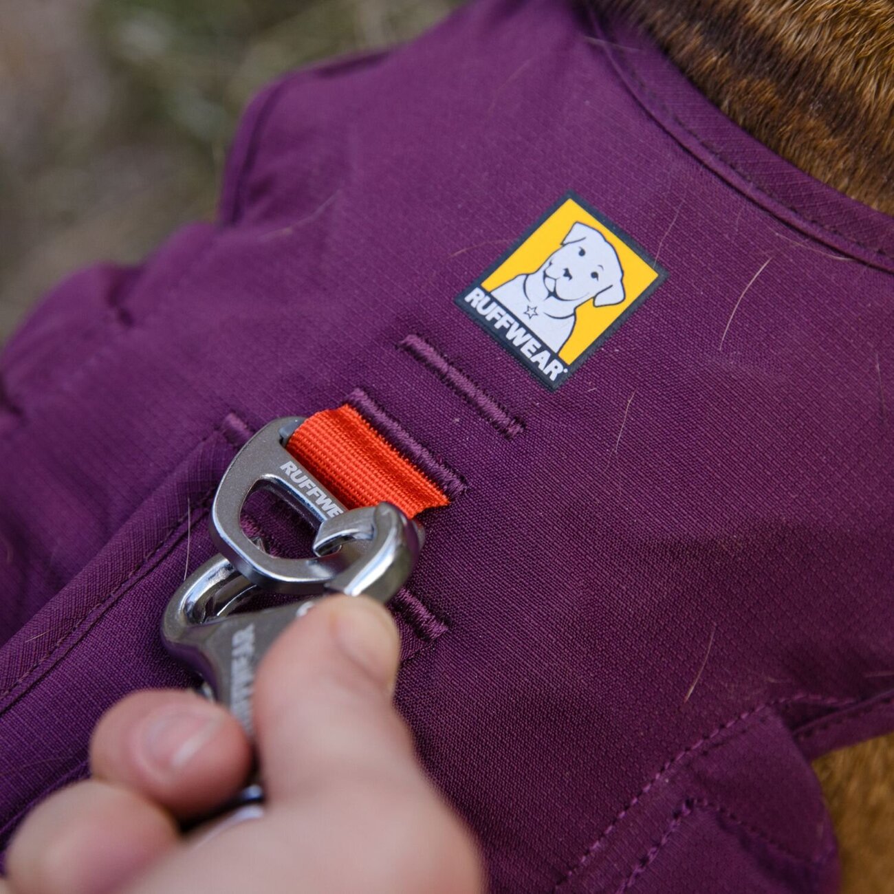 Web Master Hundegeschirr mit Griff Bild 18