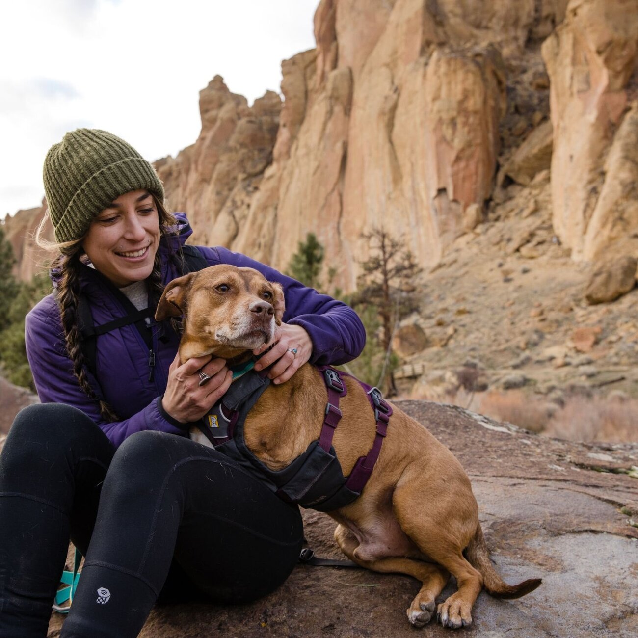 Web Master Hundegeschirr mit Griff Bild 25