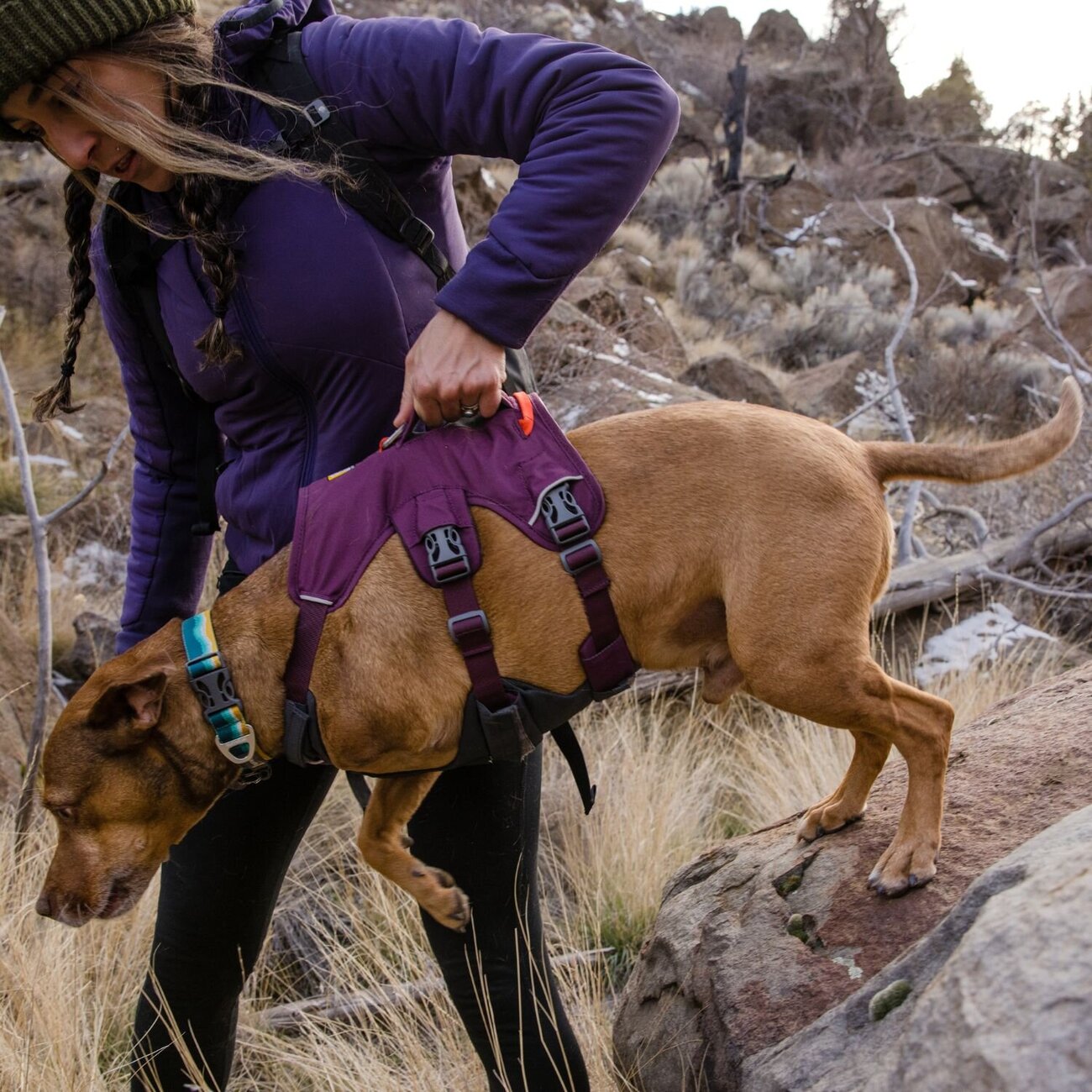 Web Master Hundegeschirr mit Griff Bild 2