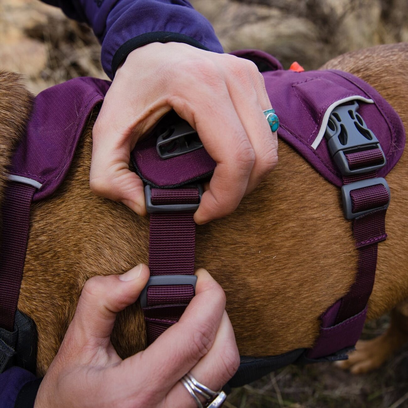 Web Master Hundegeschirr mit Griff Bild 27