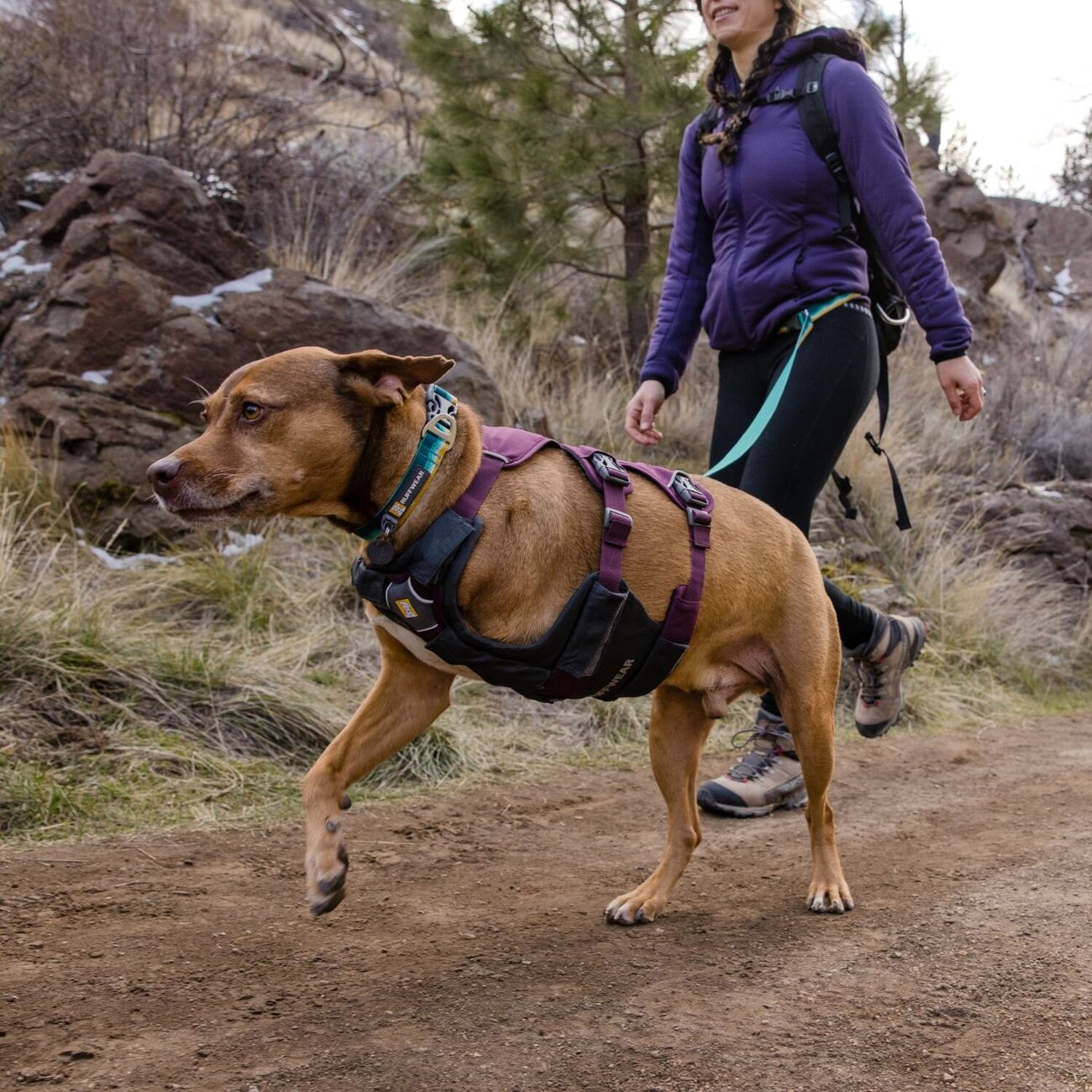 Web Master Hundegeschirr mit Griff Bild 19