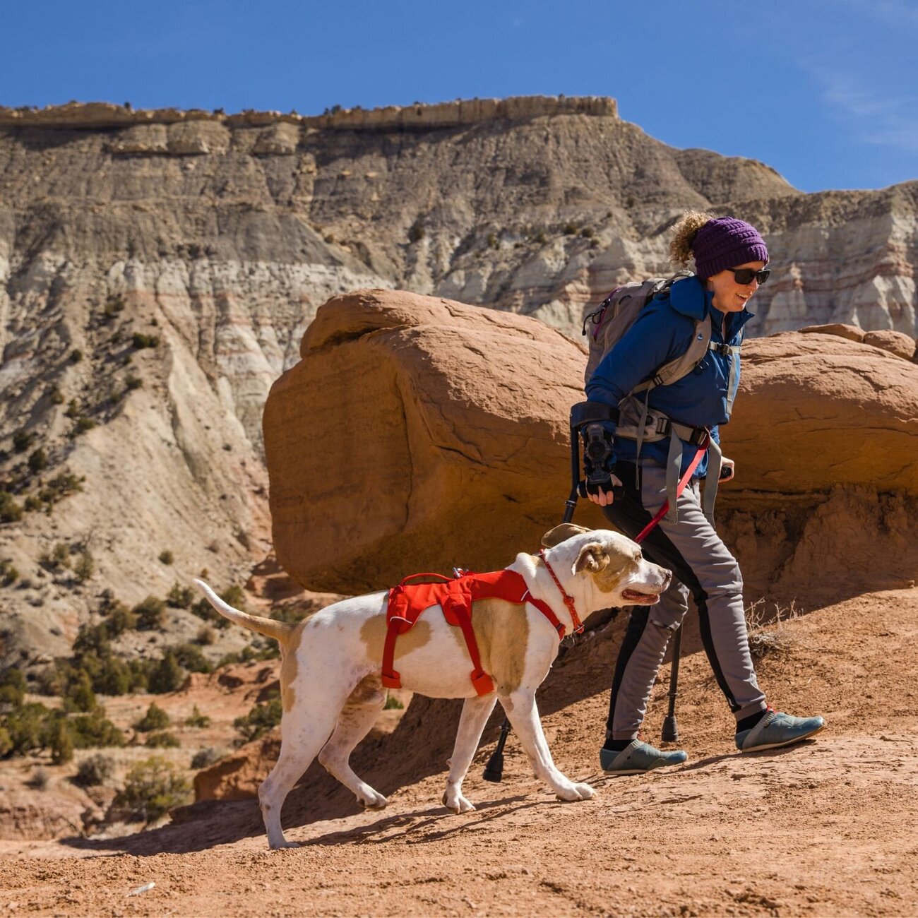 Web Master Hundegeschirr mit Griff Bild 32