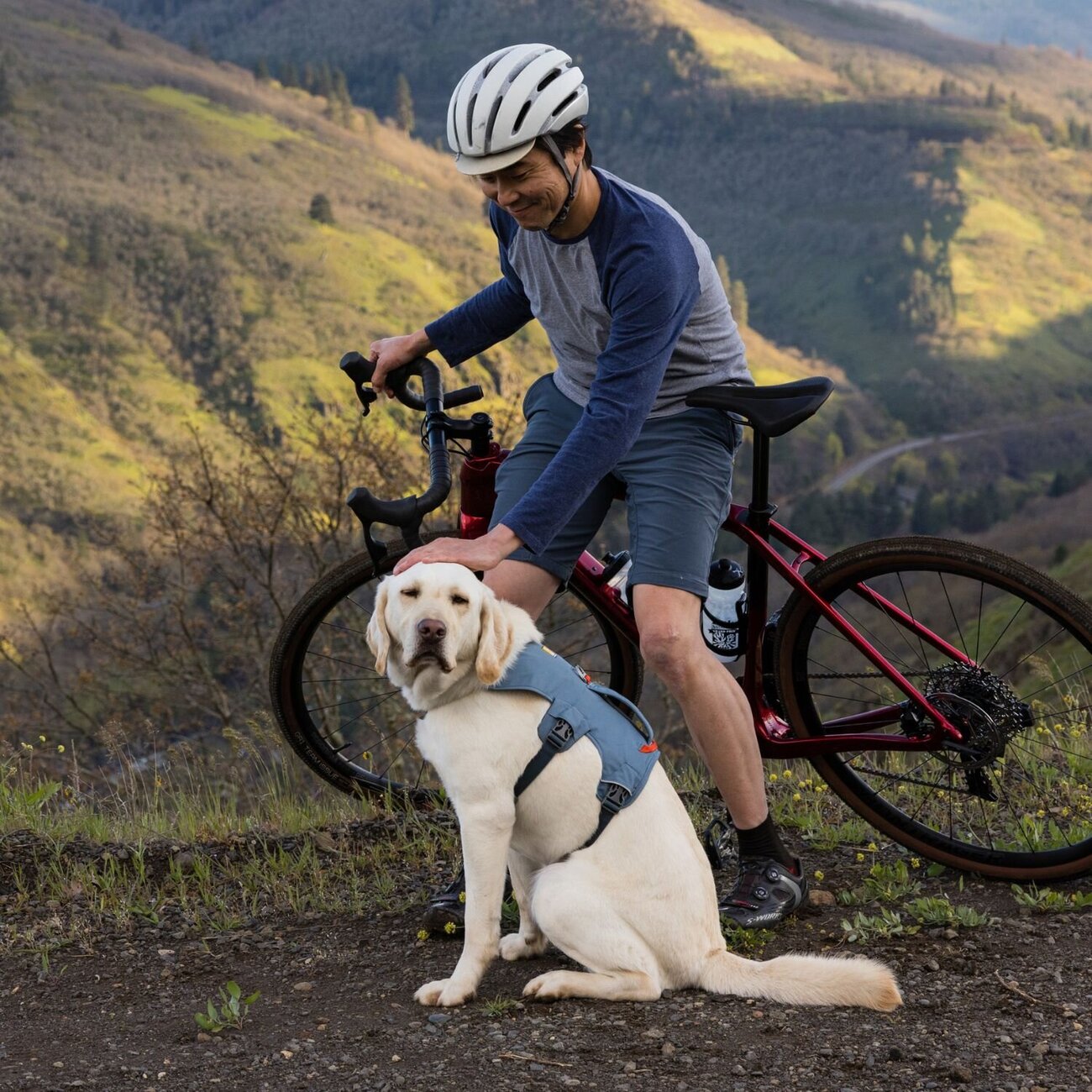 Web Master Hundegeschirr mit Griff Bild 44