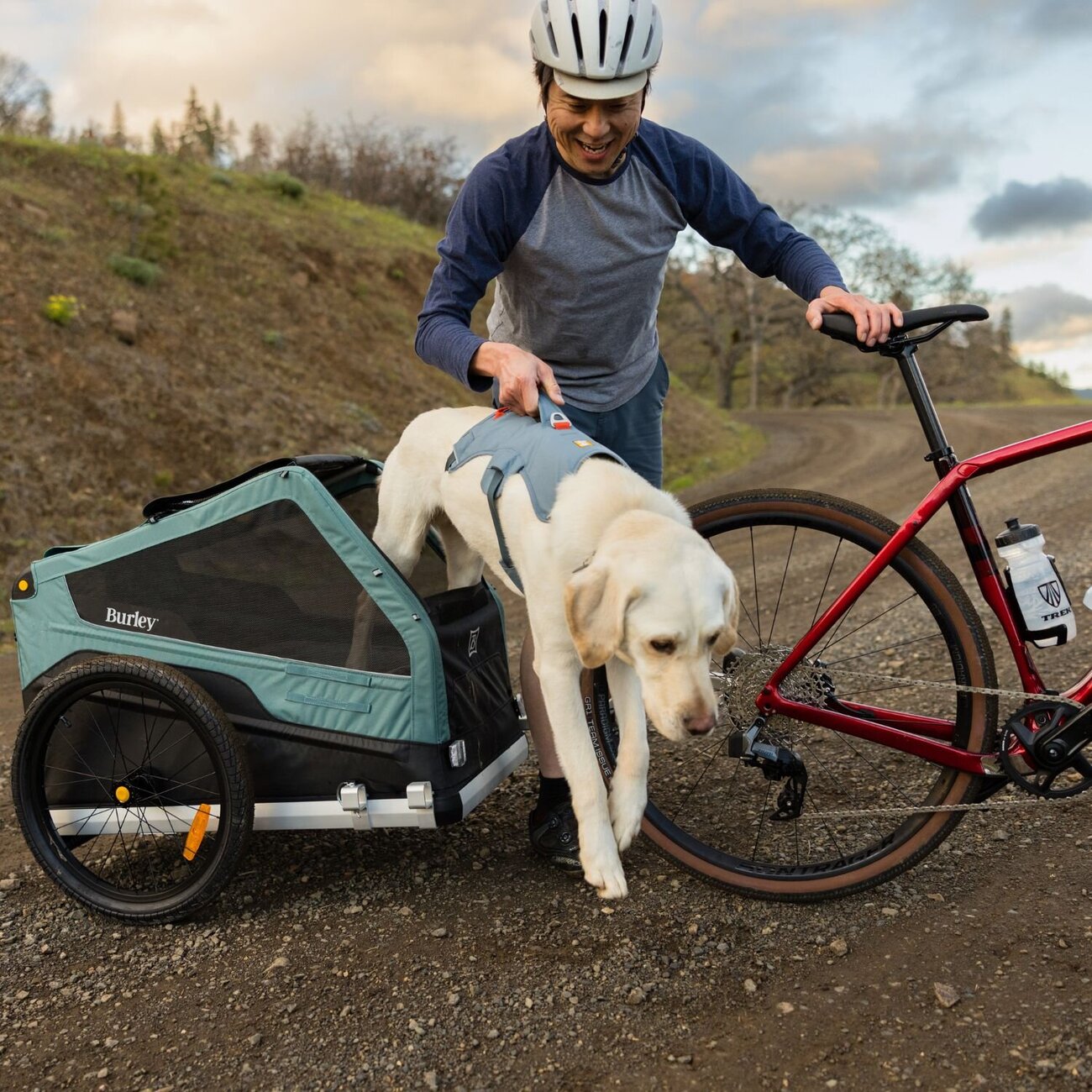 Web Master Hundegeschirr mit Griff Bild 48