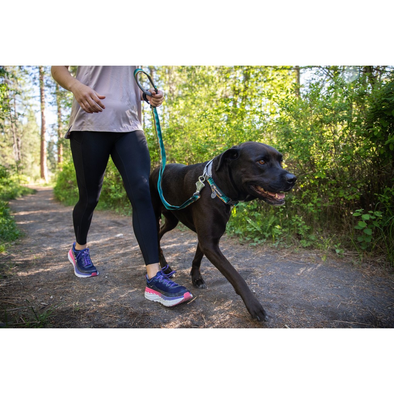 Ruffwear Web Reaction™ Collar Hundehalsband Bild 14