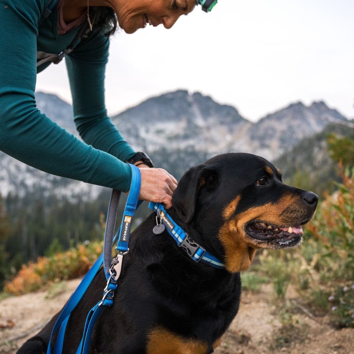 Ruffwear Web Reaction™ Collar Hundehalsband Bild 25