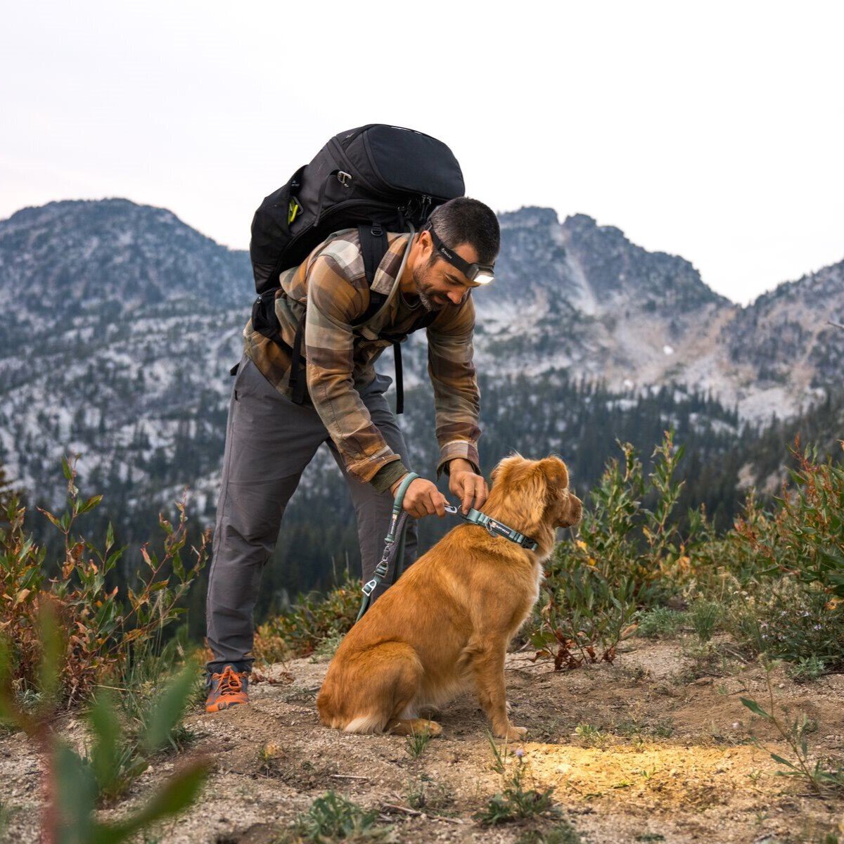 Ruffwear Web Reaction™ Collar Hundehalsband Bild 30