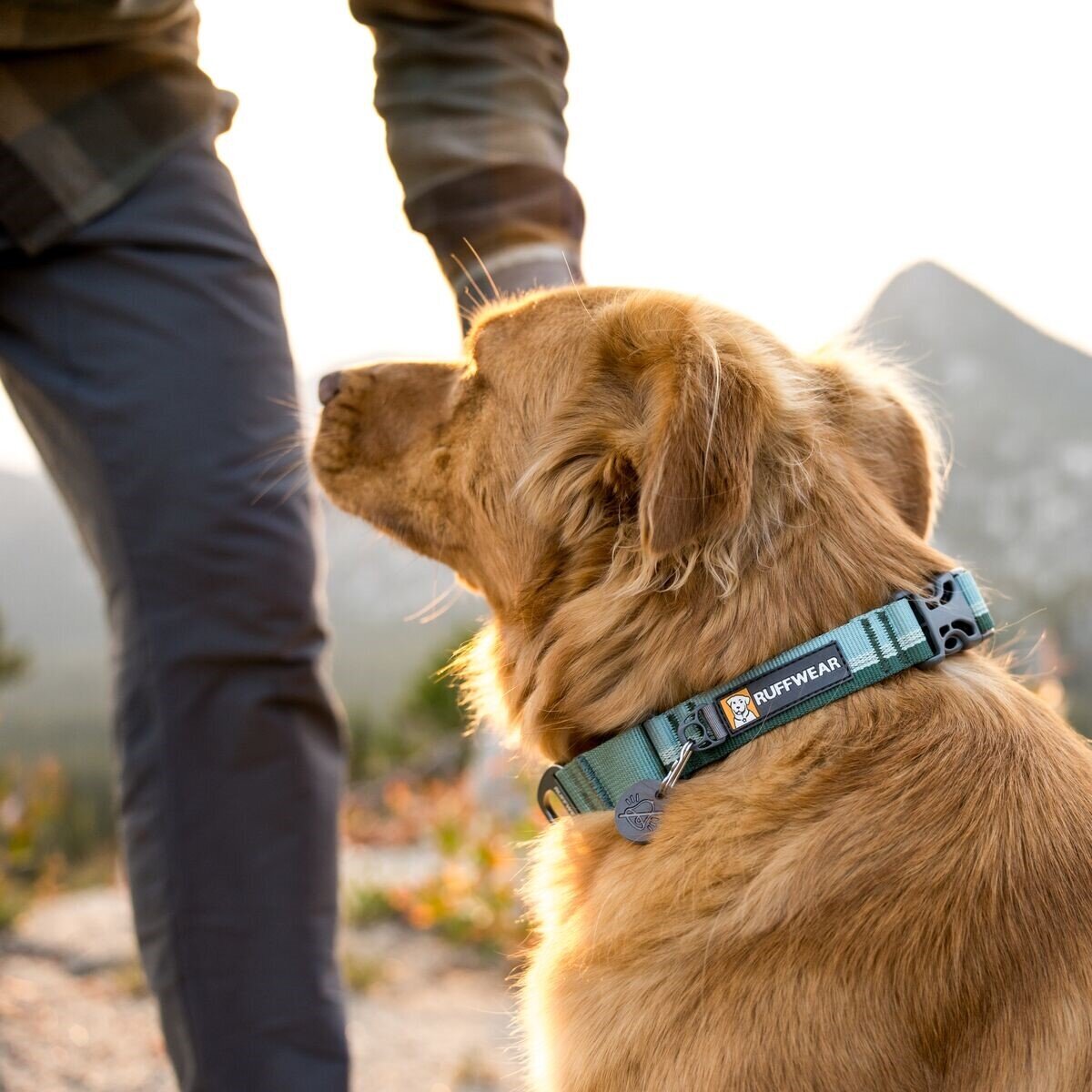 Ruffwear Web Reaction™ Collar Hundehalsband Bild 31