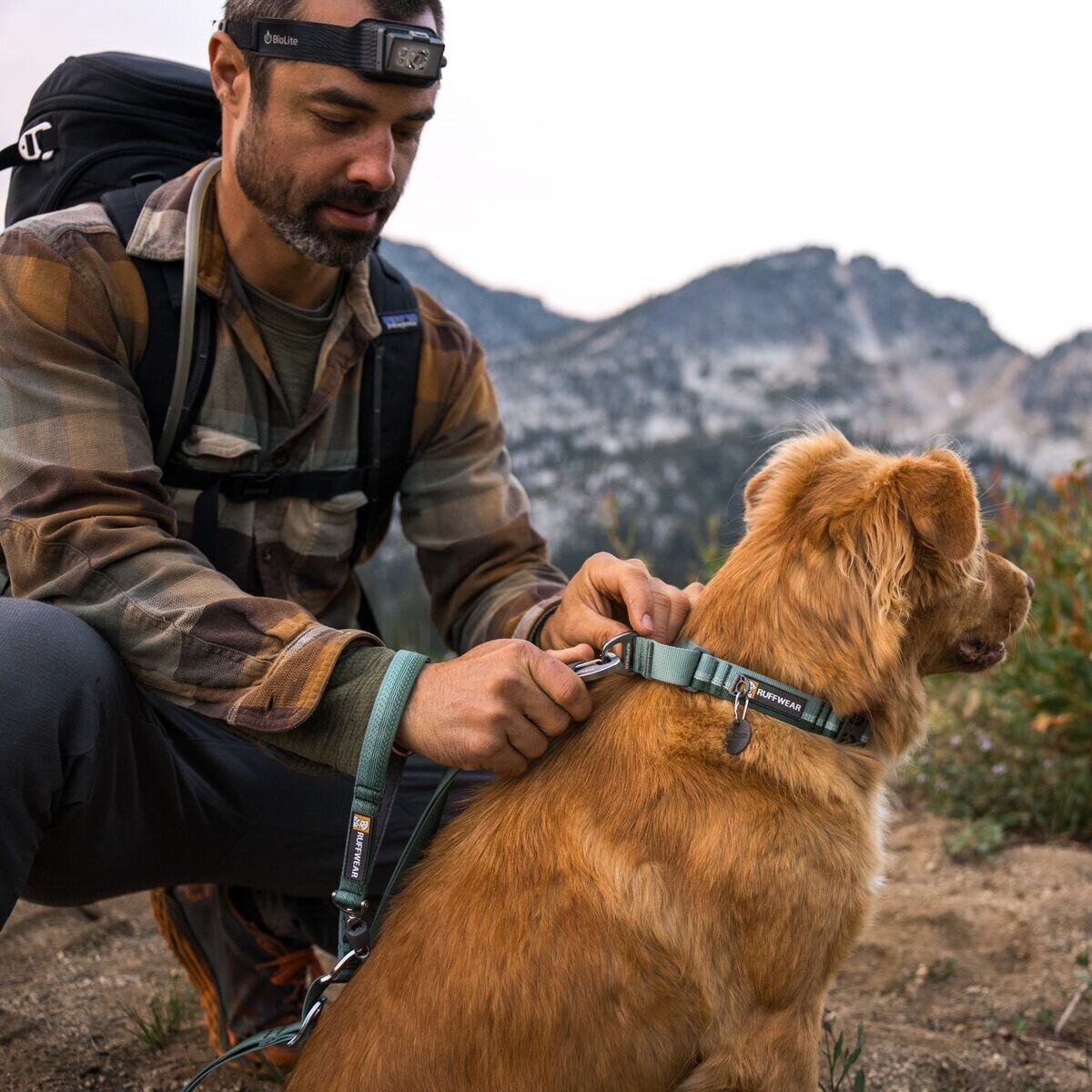 Ruffwear Web Reaction™ Collar Hundehalsband Bild 32